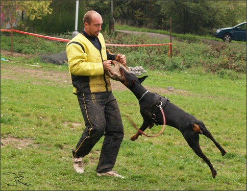 Training in Prague 10/2007